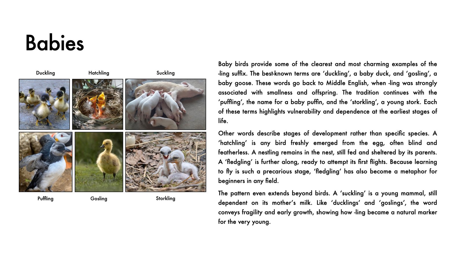 Week 2 Page 3